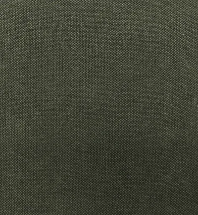 Roma Herb swatch
