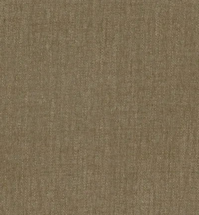 Salice Saddle swatch