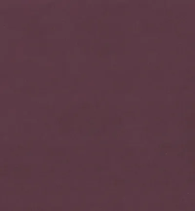 Sapore Oxblood swatch