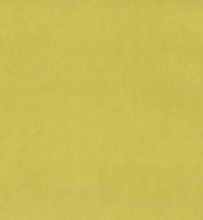 Sapore Turmeric swatch