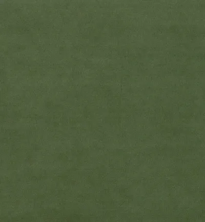 Sapore Bonsai swatch