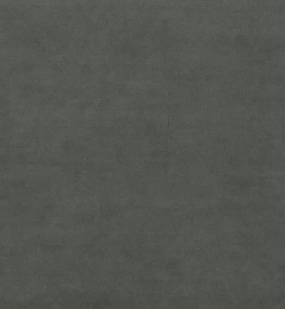 Sapore Graphite swatch