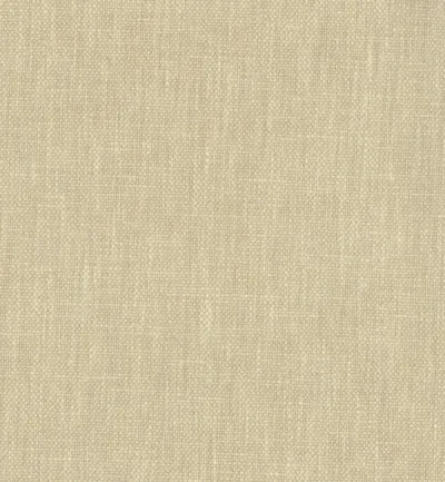 Sempre Cork swatch