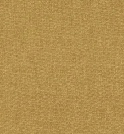 Sempre Honey swatch