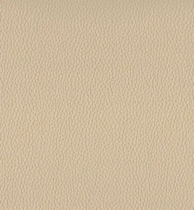 Toro Cream swatch