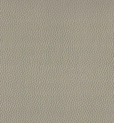 Toro Coffee swatch