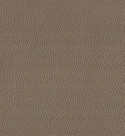 Toro Truffle swatch
