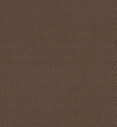 Toro Cocoa swatch
