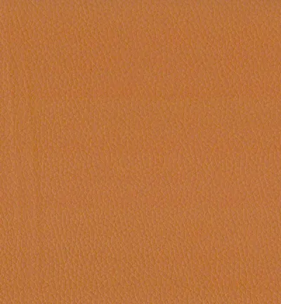 Toro Burnish swatch