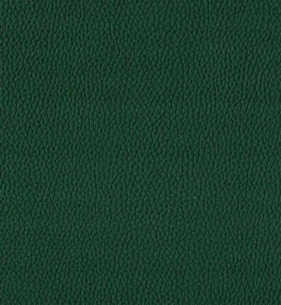 Toro Forest swatch