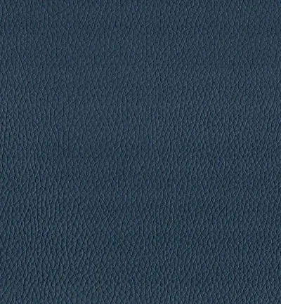 Toro Pacific swatch