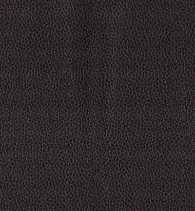 Toro Black swatch