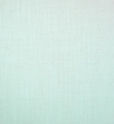 Turin Duck Egg swatch