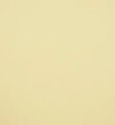 Ultima Biscuit swatch
