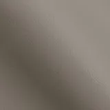Ascot Porcini swatch