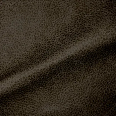 Aspen Elephant swatch