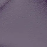 Birch Amethyst swatch