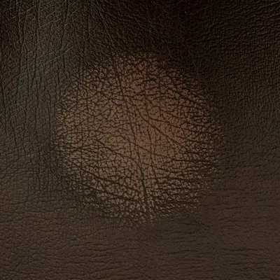 Birch Antique Gold swatch