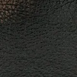Birch Antique Tan swatch