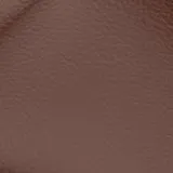 Birch Autumn swatch