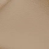 Birch Biscuit swatch