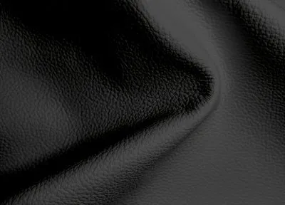 Birch Black swatch