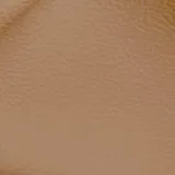 Birch Burnt Orange swatch