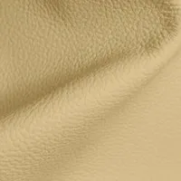 Birch Buttercup swatch