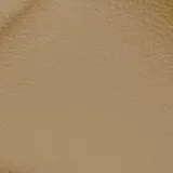 Birch Camel swatch