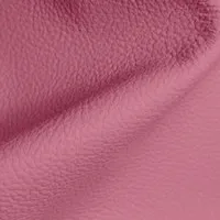 Birch Cerise swatch
