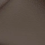 Birch Coco swatch