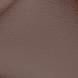 Birch Copper swatch