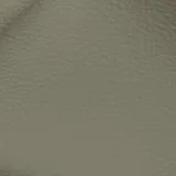 Birch Khaki swatch