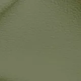 Birch Lime swatch