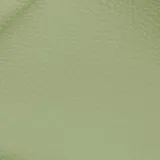 Birch Melon swatch