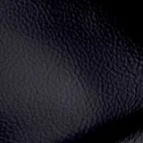 Birch Navy swatch