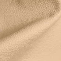 Birch Sand swatch