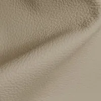 Birch Stone swatch