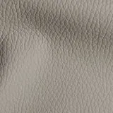 Dakota Taupe swatch