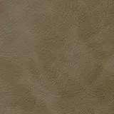 Etna Moss swatch