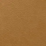 Highland Caramel swatch