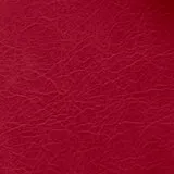 Highland Rouge swatch