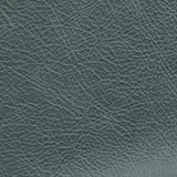 Jura Fern swatch