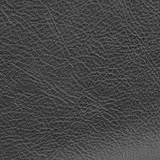 Jura Robusta swatch