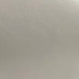Lena Pearlised Lena Champagne - Pearlised swatch