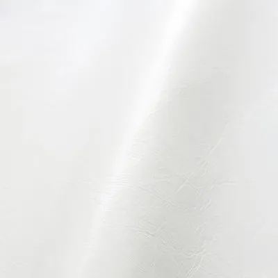 Pure Prestige Lustro Artic swatch