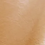 Pure Prestige Lustro Gingerbread swatch