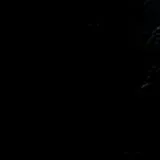 Pure Prestige Lustro Noir swatch