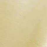 Pure Prestige Lustro Saffron swatch