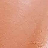 Pure Prestige Lustro Vermilion swatch